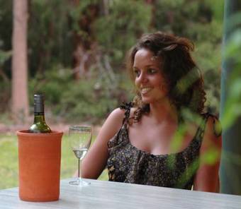 Hotel Harmony Forest Cottages