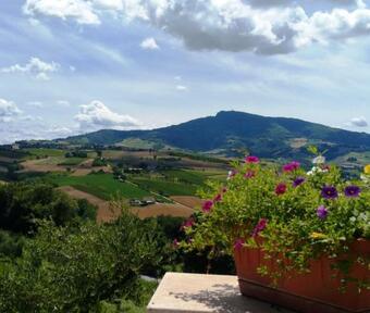Apartamento Agriturismo Il Vecchio Acero