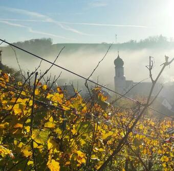 Apartamento Fewo Im Alten Schlossgarten