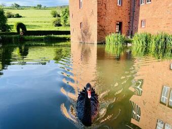 Apartamento Ferienwohnungen Jagdschloss Adolphsburg