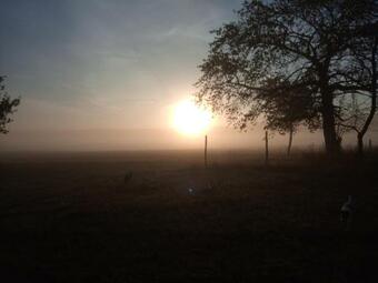 Apartamento Ferienwohnung Rundum Natur