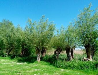 Apartamento Wohnung In Klink