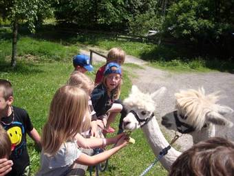Hostal G�stehaus Panorama