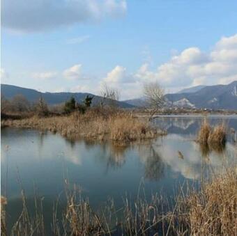 Apartamento Cozy Flat With Garden In Franciacorta & Iseo Lake
