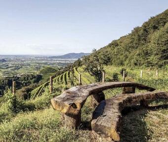 Apartamento Bellavista