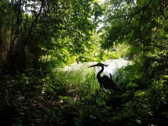 Apartamento Forsthaus Im Zaubergarten