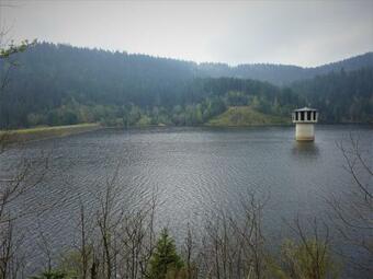 Apartamento Haus Am Wald