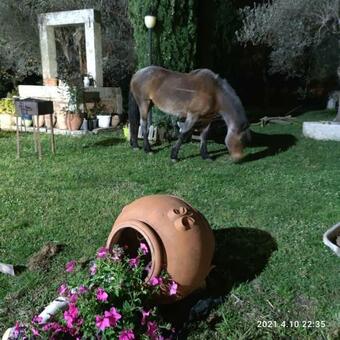 Apartamento Le Tre Primavere