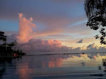 Whales And Dolphins Hotel