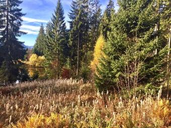 Apartamento Appartment Andrea