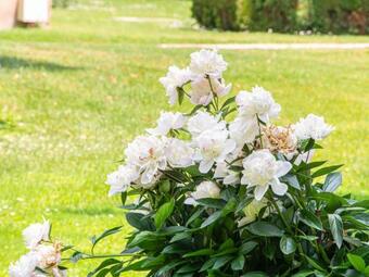 Villa Timeless Apartment In Racconigi With Garden And Sauna