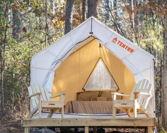 Tentrr State Park Site - Mississippi Clarkco State Park - Trailside E - Single Camp