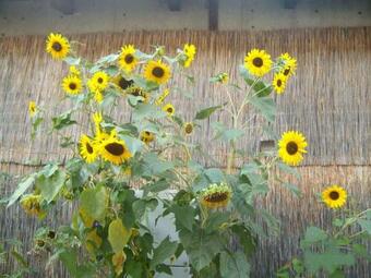 Apartamento Klassmo Kulturcafe&g�stehaus Mit Kulturwerkstatt