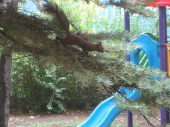 Family Hotel Familya