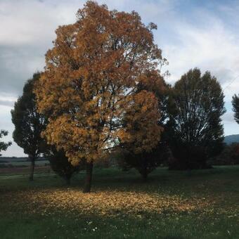 Posada La Locanda Del Tempo Lento