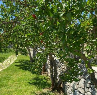 Apartamento Casale Zacco Micci�