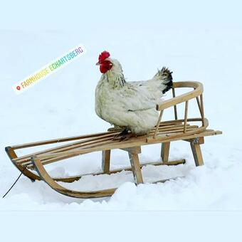 Apartamento Moderne Und Gem�tliche Ferienwohnung Mit Terrasse Und Wallbox Im Farmhouse Eckartsberg Im Zittauer Gebirge