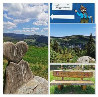 Apartamento Fewo Schwarzwaldblick, Todtnau-muggenbrunn, Liftverbund Feldberg