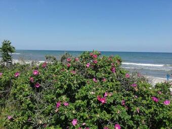 Apartamento Ostsee-auszeit