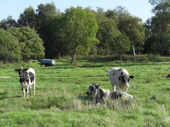 Apartamento Hof Schult