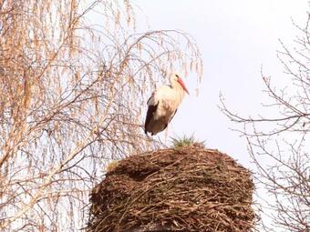 Apartamento Fewo Gut Zarrentin