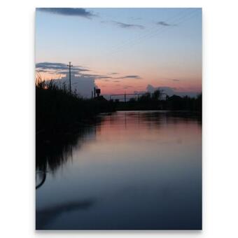 Un Letto Nel Cortile