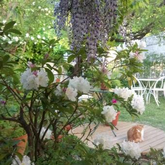 Apartamento Casa Bartolacci Charme In Bivigliano (near Mugello And Florence)