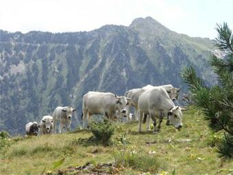 Apartamento Le Toro