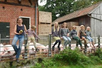 Apartamento Oesenhof - Dielenwohnung