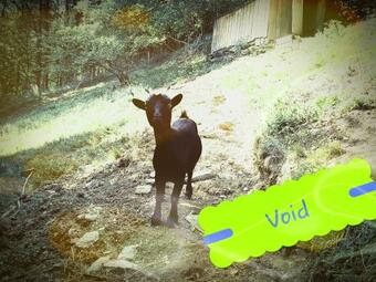 Bed & Breakfast Skymist Maison D'h�tes