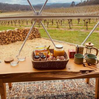 Domescapes In The Vines