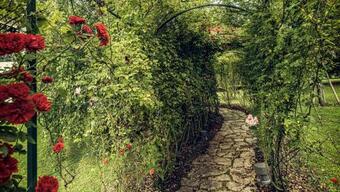 Villa Barchessa Panigai 14