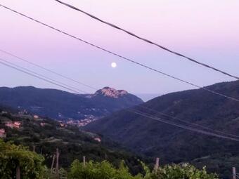 Apartamento Verdemare Rialto