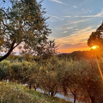 Apartamento Alloro Case Vacanze 3