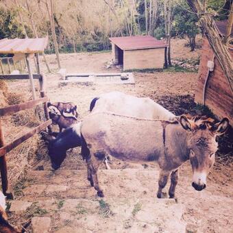 Villa Dimorra Country House