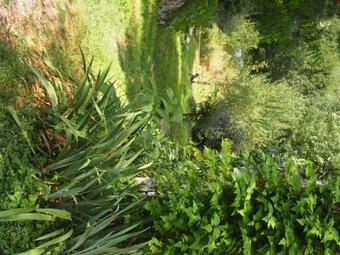 Rural Peace And Tranquility With A View