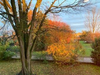 Apartamento Barchessa Rossetti