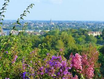 Podere Di Costabella