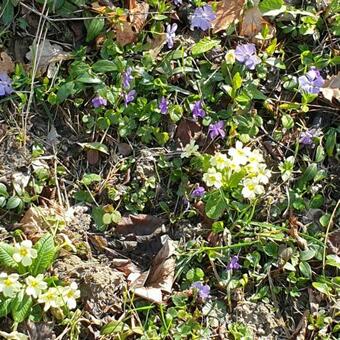 Apartamento Casa Con Vista