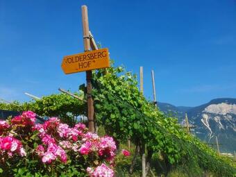 Apartamento Voldersberghof