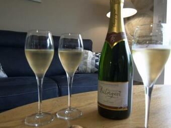 G�te Balnot-sur-laignes, 4 Pi�ces, 7 Personnes - Fr-1-543-182