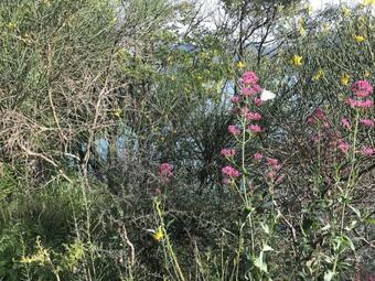 Cottage Rifugio Al Lago Turano Fra I Monti