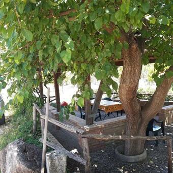 Bed & Breakfast Il Pino Marittimo