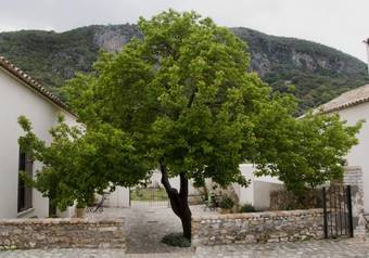 Hotel Casa Rural El Vihuelo