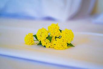 Hostal Cambria Hotel