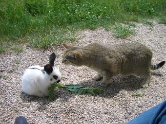 Agroturismo Marenklhof