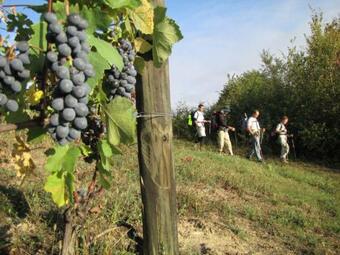 La Casa Del Cammino E Della Parola