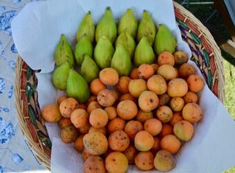 Agroturismo Countryrooms Valchiusella