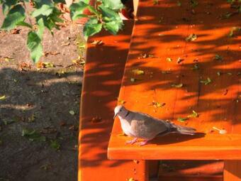 Apartamento La Casa Dei Cedri