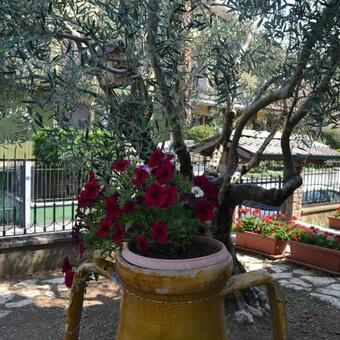 Bed & Breakfast Riflessi D'arte